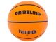 PELOTA DRIBBLING PEL BASKET EVOLUTION NRO 7