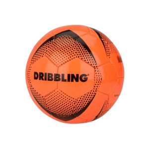 PELOTA DRIBBLING NRO 5